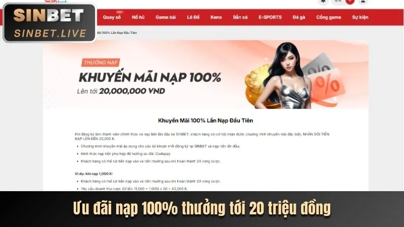 Sử dụng Cookies 77win9 chính thức